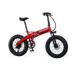 7 Speed 10AH 20 Inch Electric Fat Bike 36v 350w