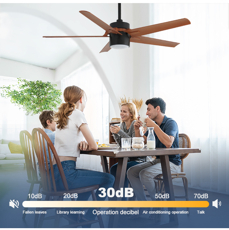 10-Year Motor 52-Inch 5-Blade LED Ceiling Fan with 3 Color Lighting and ABS Blades