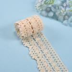Embroidery Bridal Wedding Cotton Lace Trim Milk Shreds White
