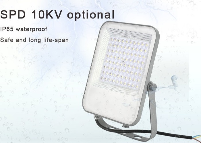 50w 100W 150w LED Floodlight For Garden Motion Detection Lighting