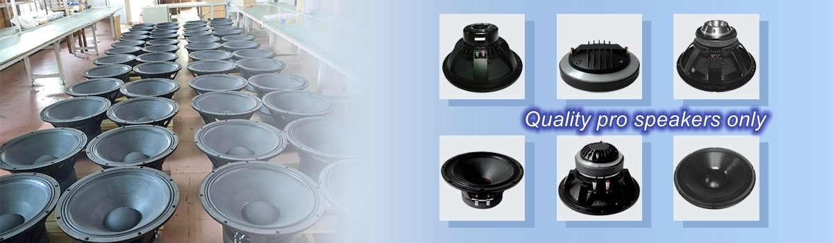 330mm Magnet 18 Inch 98dB 1500W Bass Subwoofer Speakers