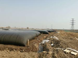 China High Strength Dehydrated Gt500 Pp Material Geotextile Tubes wholesale