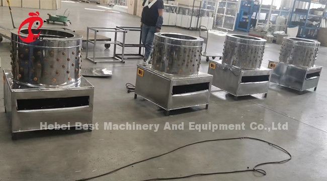 220v Chicken Processing Machine Cutter And Defeathering For Broiler Poultry Farm Sandy