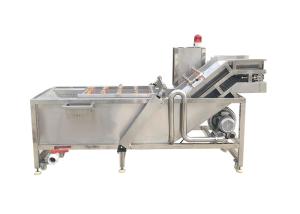 China Fresh Mango Brush Roller 500kg/hour Vegetable Washing Machine wholesale