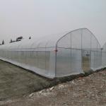 Wind Resistant UV Net House Greenhouse Environmental Controller Multi-span