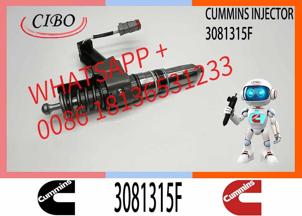 NINE Brand Engine Parts Fuel Injector 3081315F Diesel Injector 3081315F