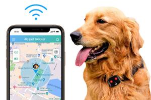 China 4G Waterproof Gps Tracker For Dogs wholesale