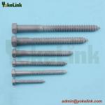 Lag Screw