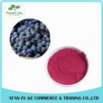 100% Natural Black Currant Fruit Powder