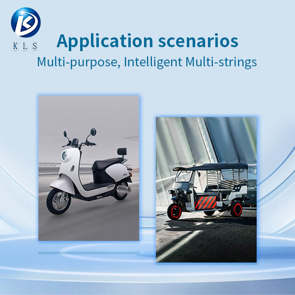 Lithium Ion NMC LifePO4 Bms Board 6s-16s 30A 40A 50A 60A Battery Management System
