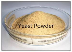 China Feed Additive Yeast Powder With Light Yellow Powder wholesale