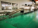 304 Stainless Steel Peanut Frying Machine Jumbo Peanut Production Line