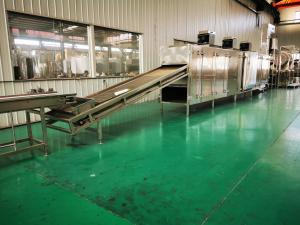 China 304 Stainless Steel Peanut Frying Machine Jumbo Peanut Production Line wholesale