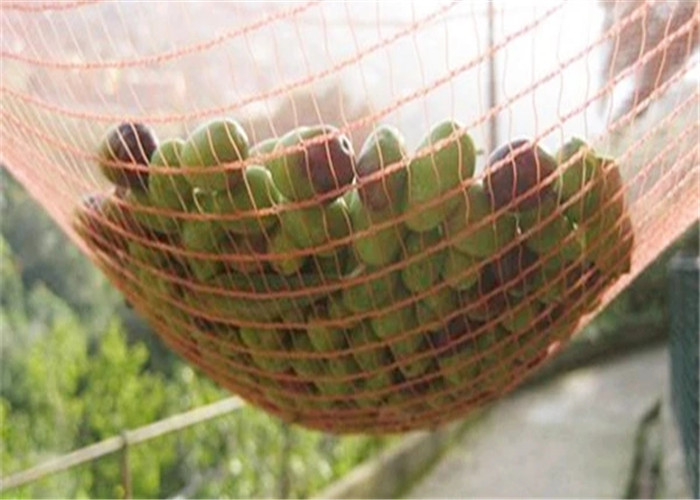 1/6 Plastic Window Screen Mesh Net / 2x30m Wind Block Dust Proof Mesh