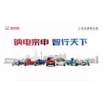 Algeria Gasoline Cargo Vehicle Tricycle Maximum Speed 50-70Km/h Curb Weight 400