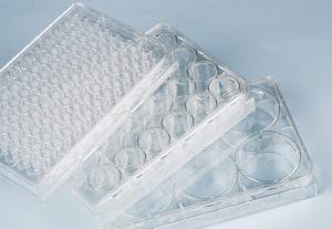 China Suspension Cell Culture 6-Well Plate for Cells including hMSC wholesale