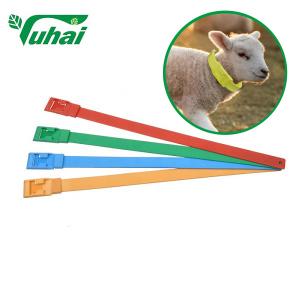 China Colorful Livestock Bands 59x4cm PU Material Goat Collar For Identification wholesale