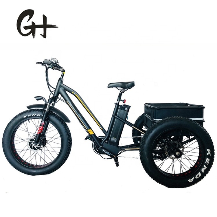 750W 48V 4.0" Fat Tire 3 Wheels E Trike Electric Cargo Bike Alloy Rim 6 Speed USA Hot