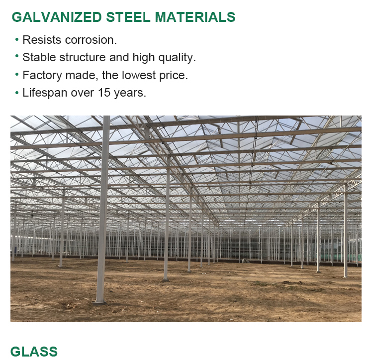 High Yield Glass Greenhouse Featuring Multi-span Design and Plant Growing Instruction