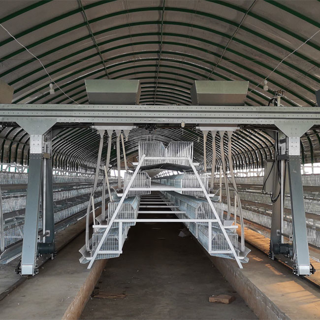 10000 Layer Farm Used Battery Chicken Cage 12 Weeks To 16 Weeks