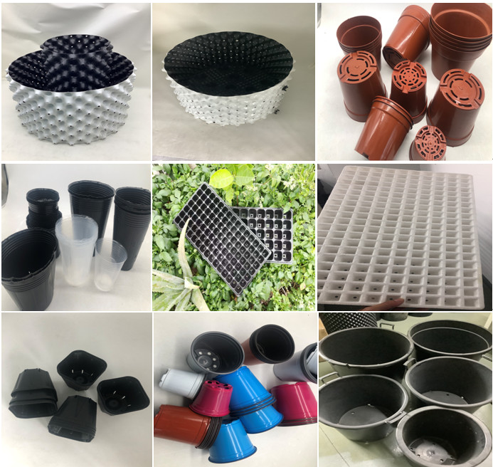 50 Holes Plastic Seedling Tray Nursery Tray For Flower And Trees Cell Tray