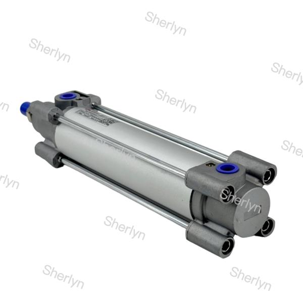 G1/4 Port Size Double Acting Cylinder RA/802040/M/50