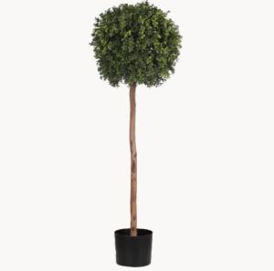 China Eco Friendly Artificial Potted Floor Plants Boxwood Single Trunk wholesale