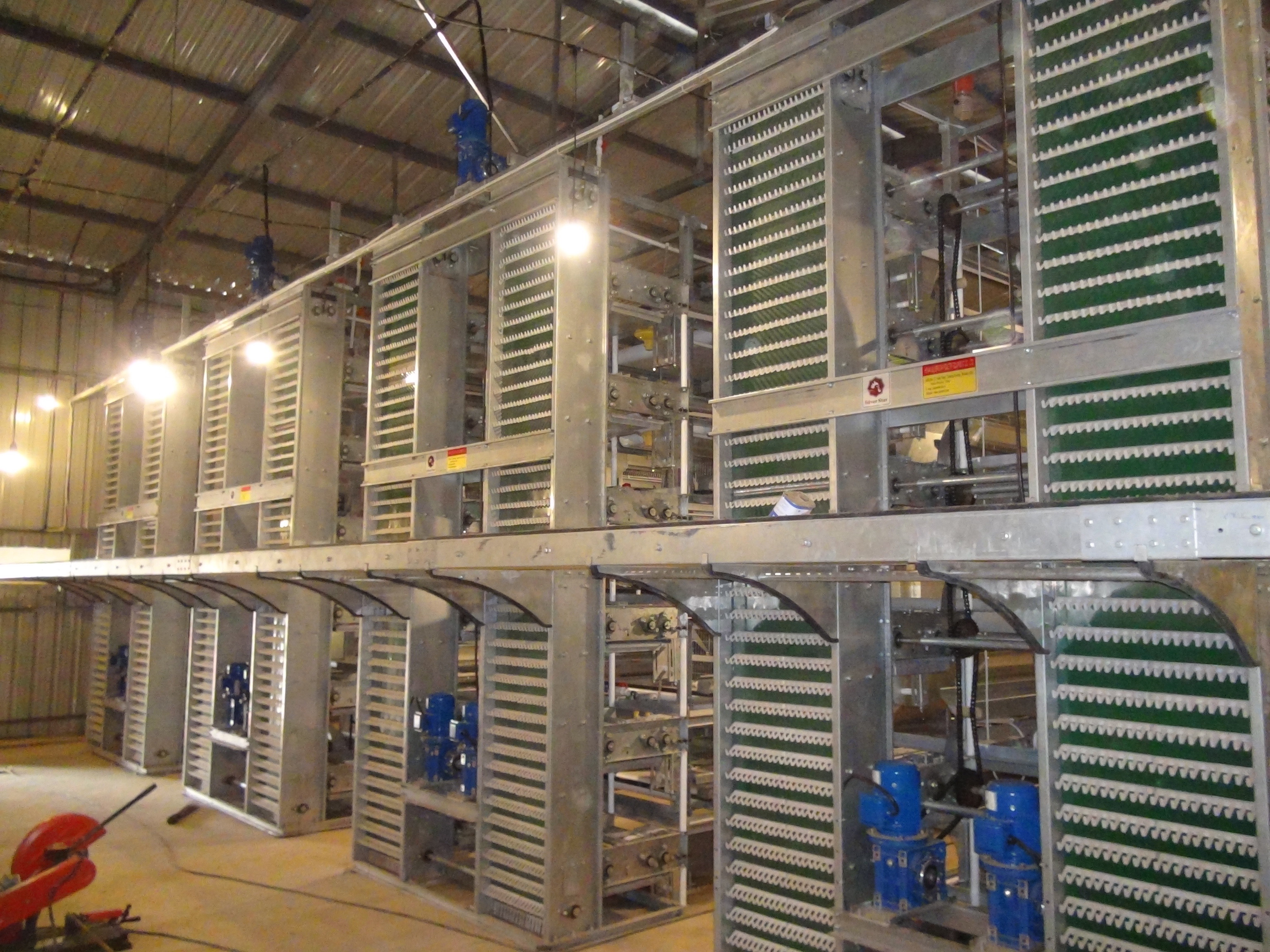 Q235 Hot Galvanized Automatic Day Old Chicks Cage For Poultry Farm