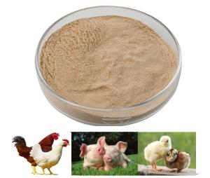 China Habio Protease Feed Grade Peptide Splitting Enzyme with High Stability wholesale