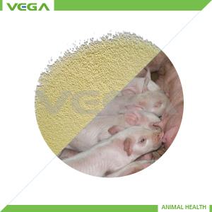 China 10%/15% Bacitracin Zinc Powder/Granule wholesale