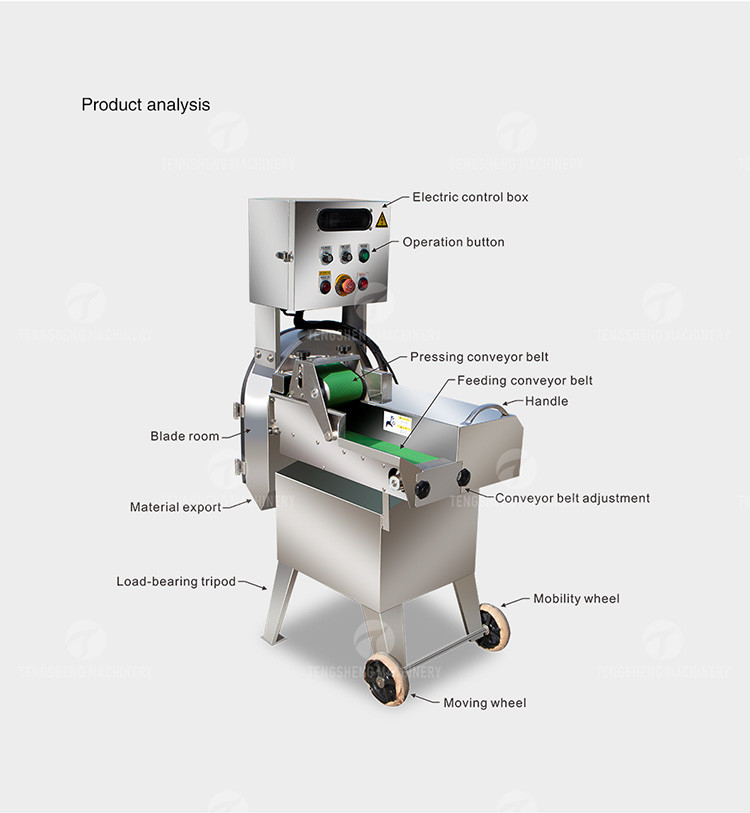 Dicing Strips Brussels Sprouts Mushroom Slicing Machine Fungus Commercial Kitchen
