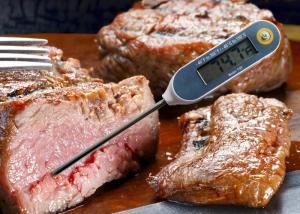 China Small Food Service Thermometer Instant Temperature Thermometer For Kitchen / Grill wholesale