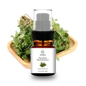 China 100ML Cas 90083-07-1 Purslane Essential Oil Yellow Pain Relief wholesale