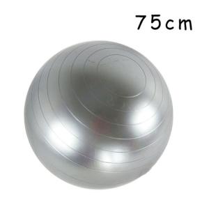 China RoHS Approval Anti Burst Yoga Stability Ball , 75 Cm Fitness Ball For Whole Body Exercise wholesale