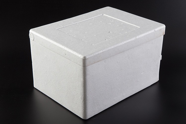 Eps Shaped Customized Polystyrene Foam Craft Packaging Lining EPS White Molding Polystyrene Foam