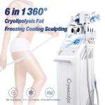 360° Cryolipolysis Fat Freezing CoolSculpting Body Slimming Weight Loss Machine