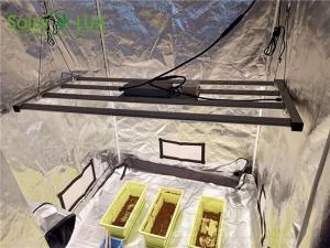China DLC ETL Approved 320w Horticulture LED Grow Lights wholesale