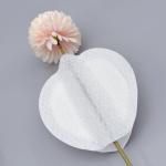 On The Go Disposable Contoured Breast Pads Medical High Absorbency Day Night