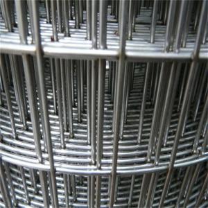 China Customizable 4ftx50ft Galvanized Welded Wire Mesh Chicken Bird Cage Wire Mesh wholesale