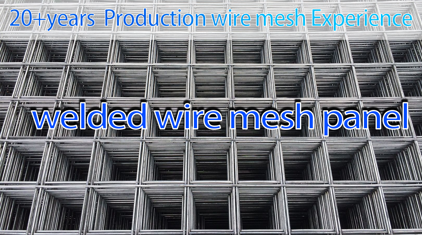 Special Design Widely Used 1/4"x 1/4" Hot Dipped Galvanized Welded Wire Mesh Roll