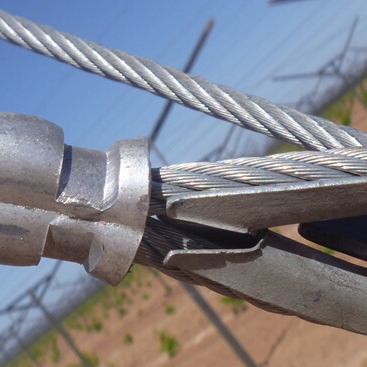 6.35mm Wire Rope Sling Assembly For Grape Trellis With Accessories