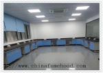 Anti Chemical Acid Alkali School Lab Furniture Bench Bearing 500kg