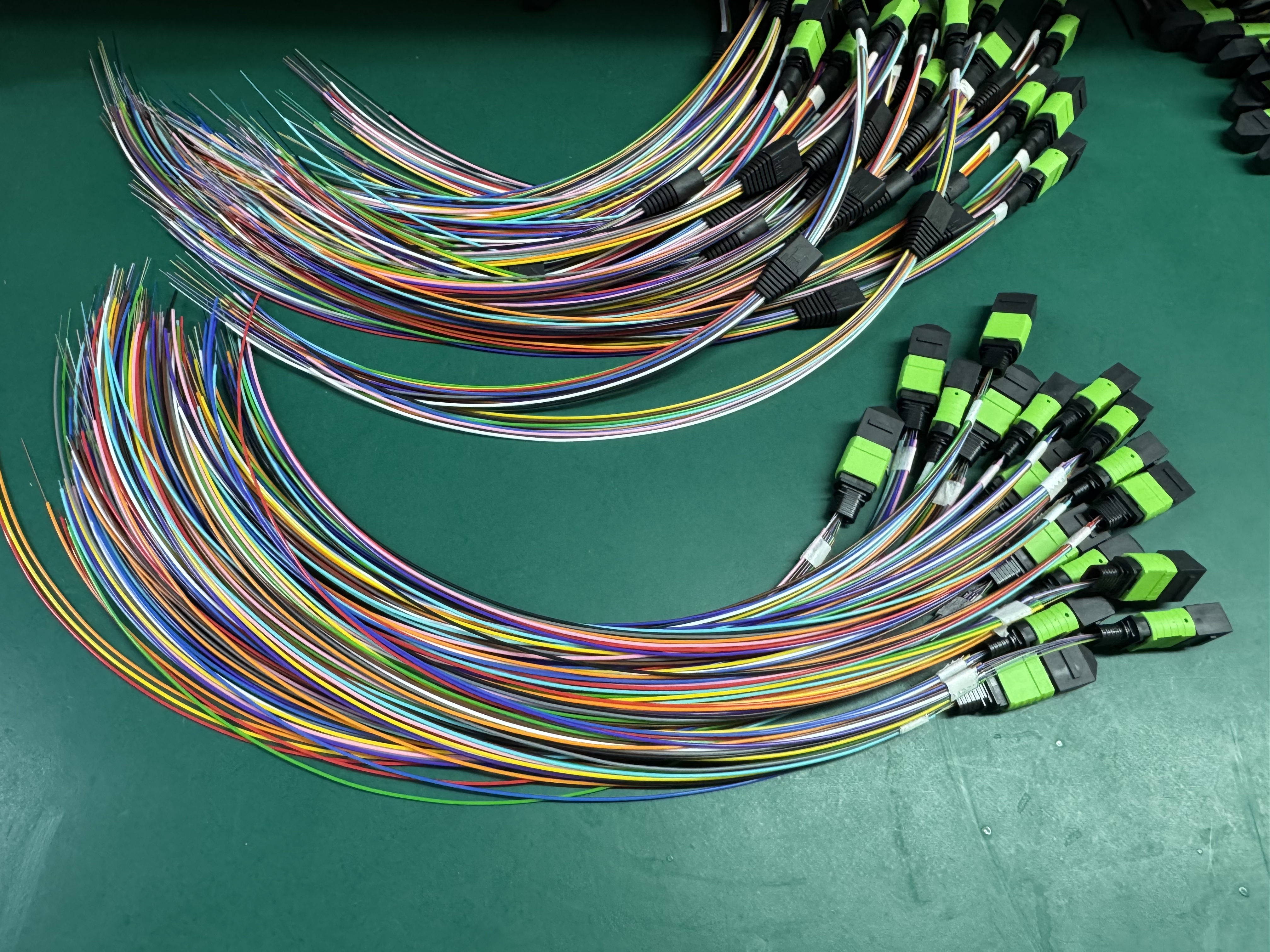 patch cord mpo
