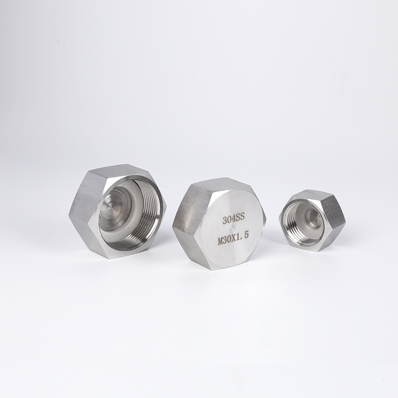 Durable Performance Stainless Steel 304/316 Screwed Hex Cap NPT/BSP Threaded Pipe Fitting in ANSI JIS DIN ASME Standard