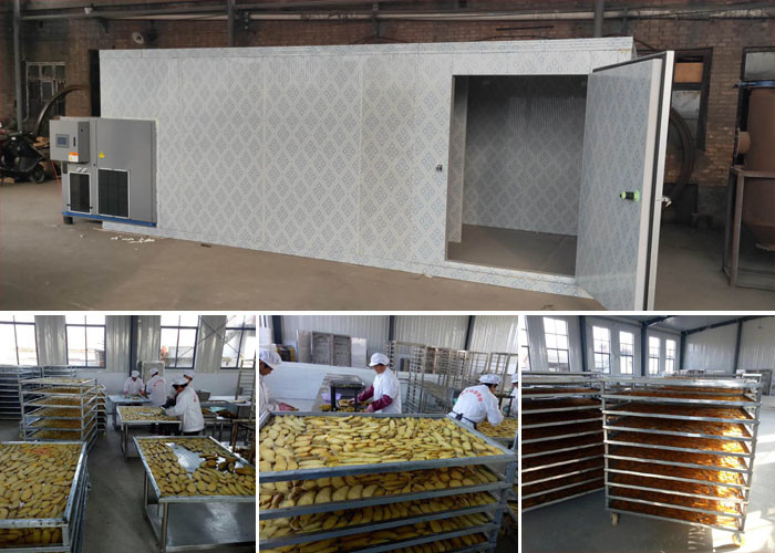 Coffee Bean Seafood Industrial Food Drying Machine