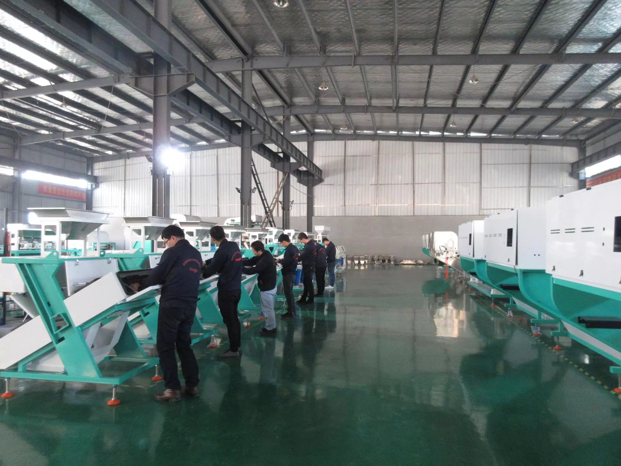 220V/50Hz Cashew Colour Sorting Machine New Design Unmatched Performance