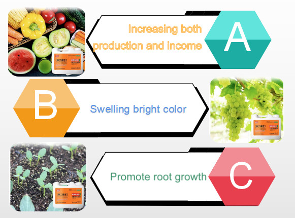Highly Concentrated Water Soluble Liquid Fertilizer NPK With Comprehensive Nutrition
