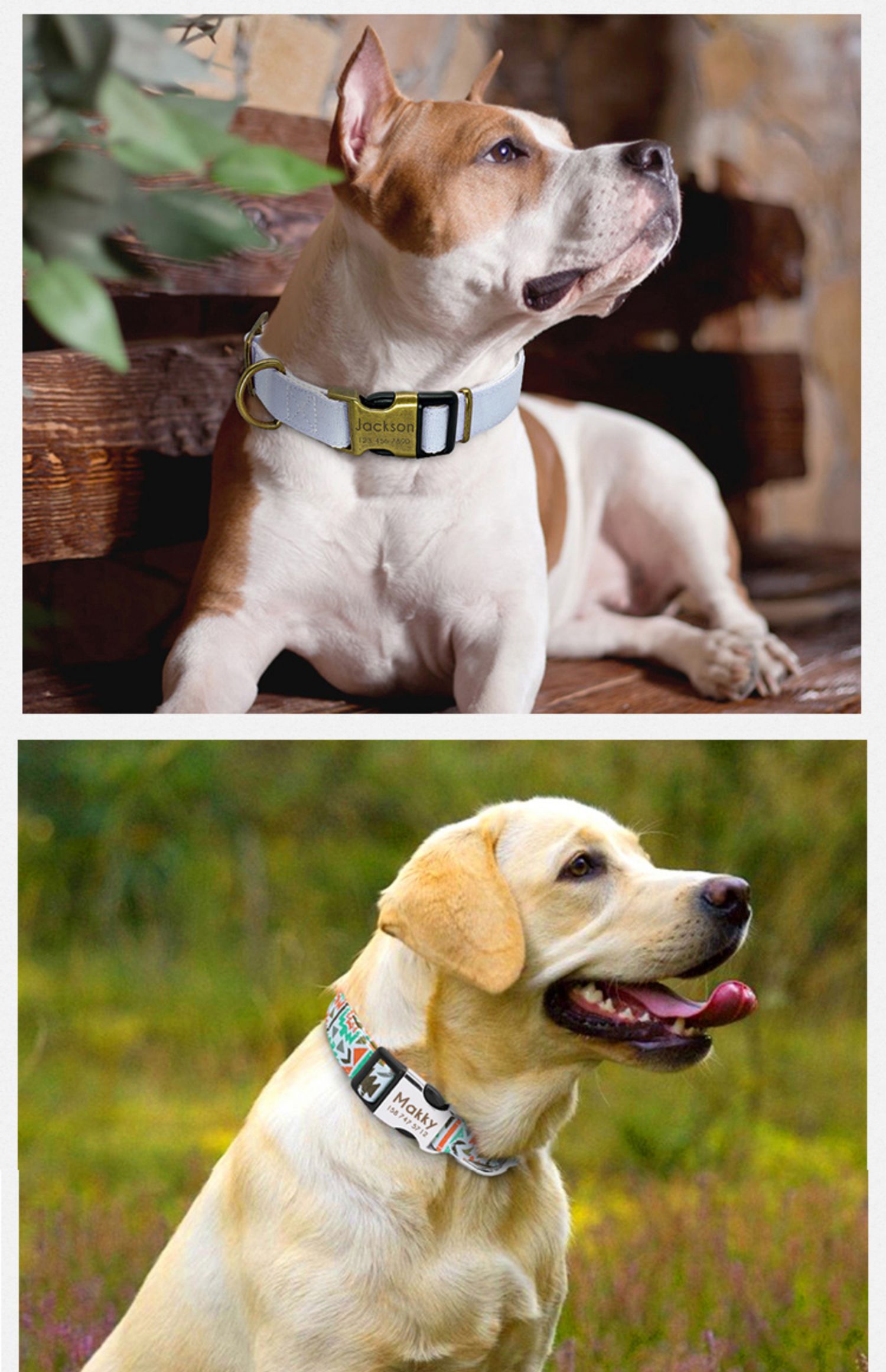 No Minimum Order Personalized Pet Collars Beautiful Pattern Sport Dog Collar