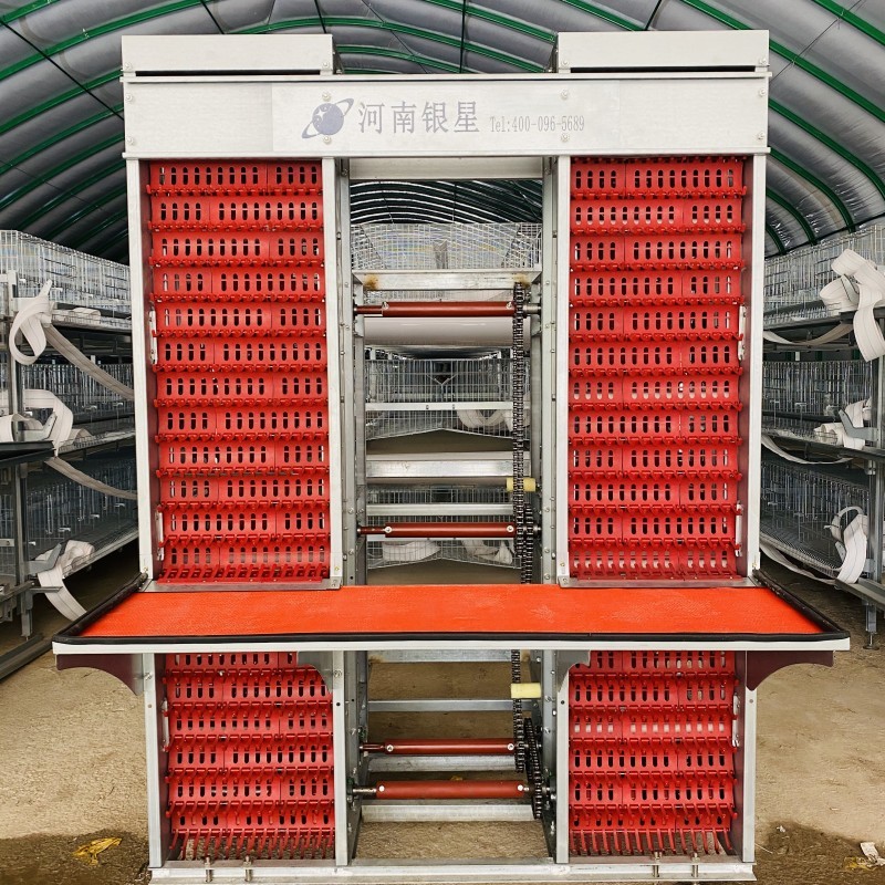 H Type Layer Chicken Cage Fully Automatic 195*230*150 For Poultry Farm