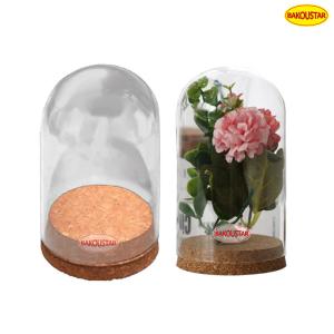 China Hand Blown Borosilicate Eternal Life Flower Glass Cover wholesale